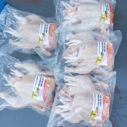 WhatsApp Image 2025-07-21 at 15.18.44